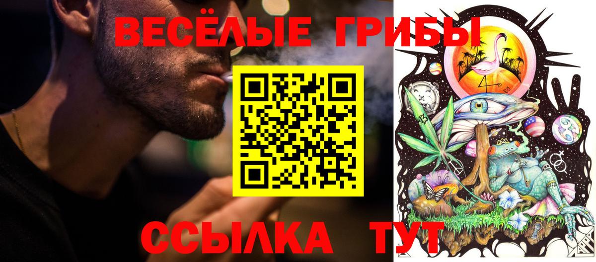 Псилоцибиновые грибы мухоморы Людиново